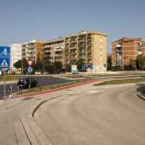 Ma chi appartengono questi animali? Per capirne di pi� abbiamo provato ad avvicinarci. Scendendo il ponte... 